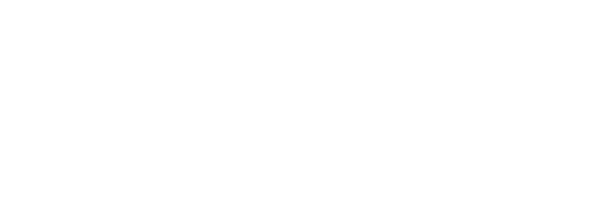 Guiding Vision